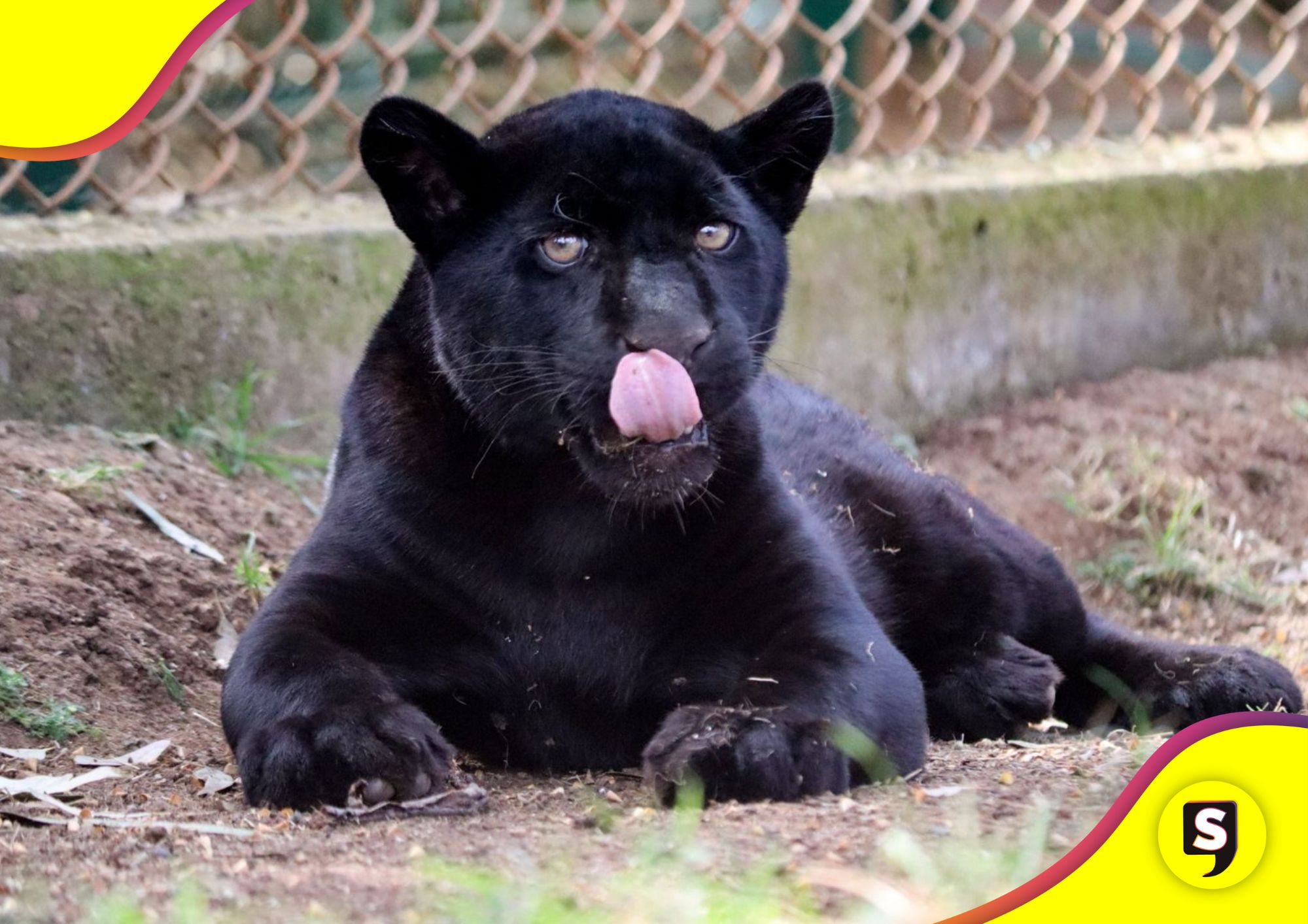 Zoológico de Morelia