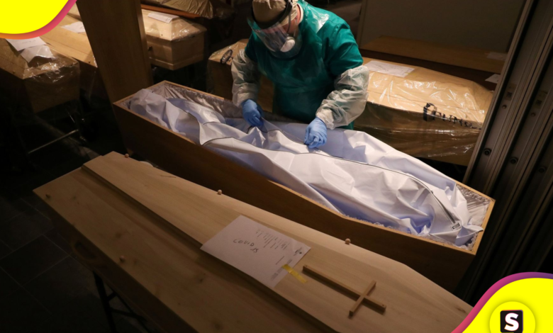 cadáveres humanos