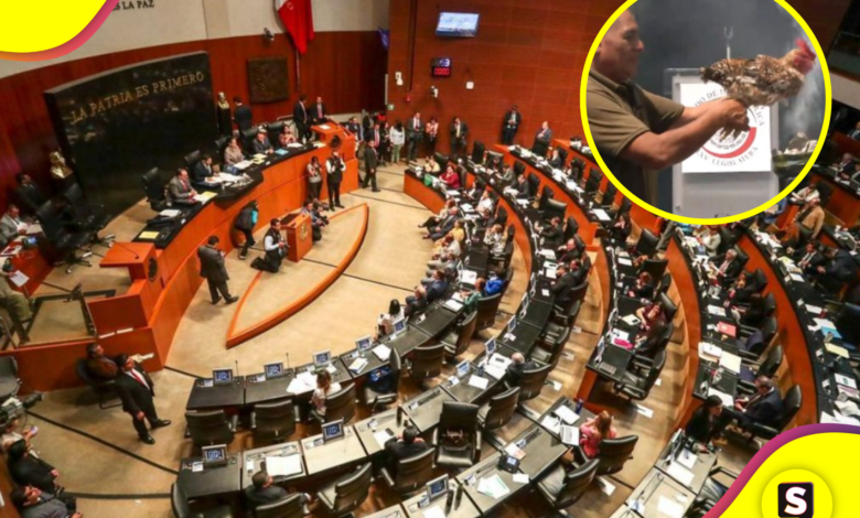 en el Senado