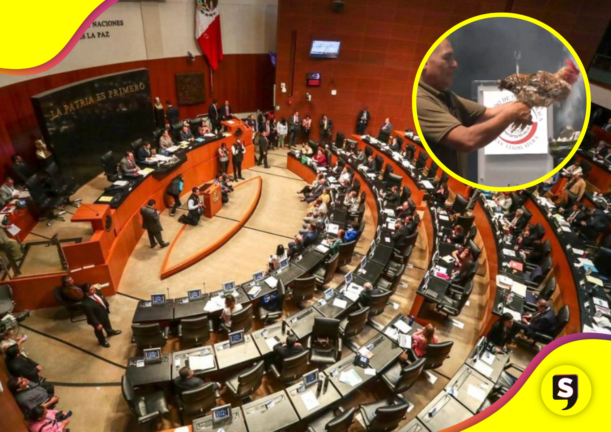 en el Senado