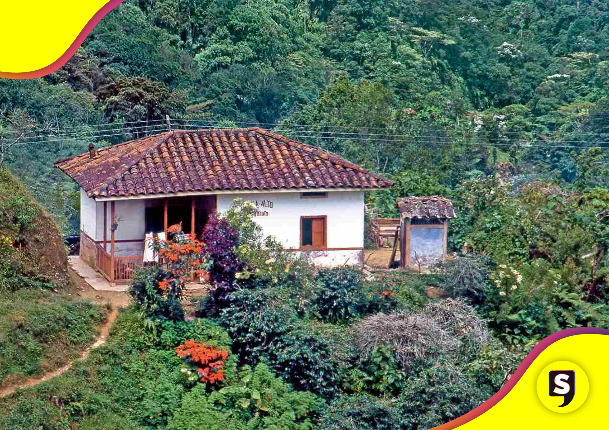 evangélicos