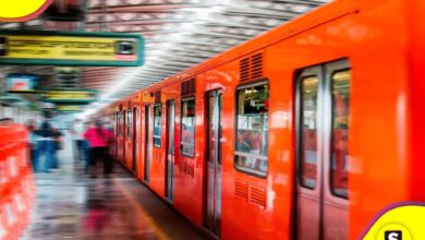 cocodrilo metro de la CDMX
