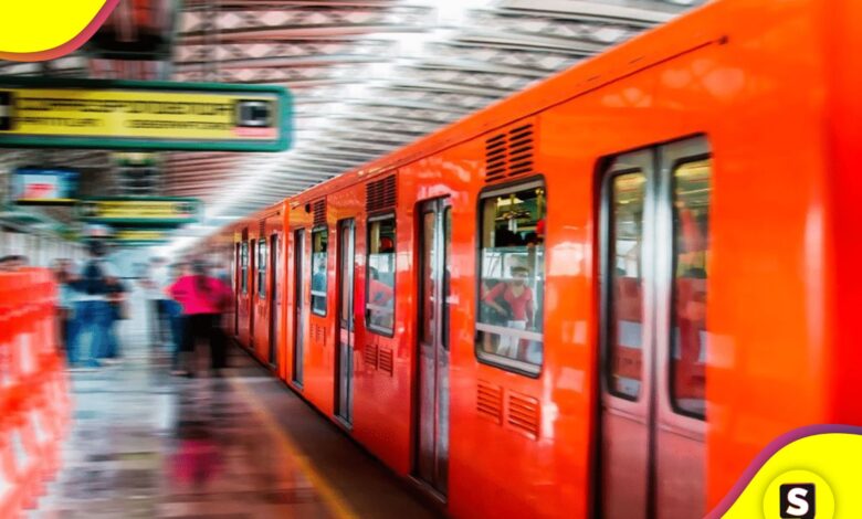 cocodrilo metro de la CDMX