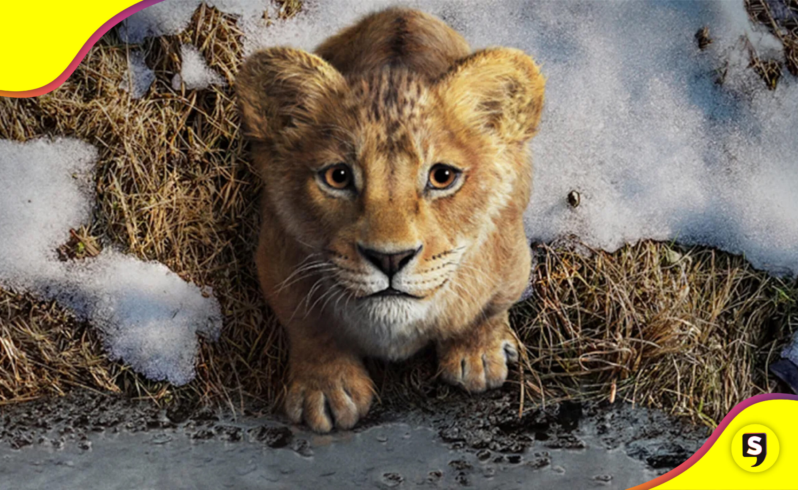 primer tráiler Mufasa