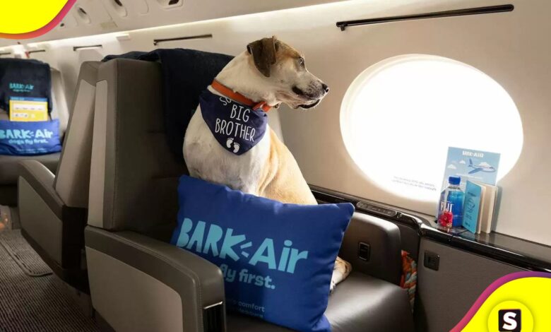 propia aerolínea