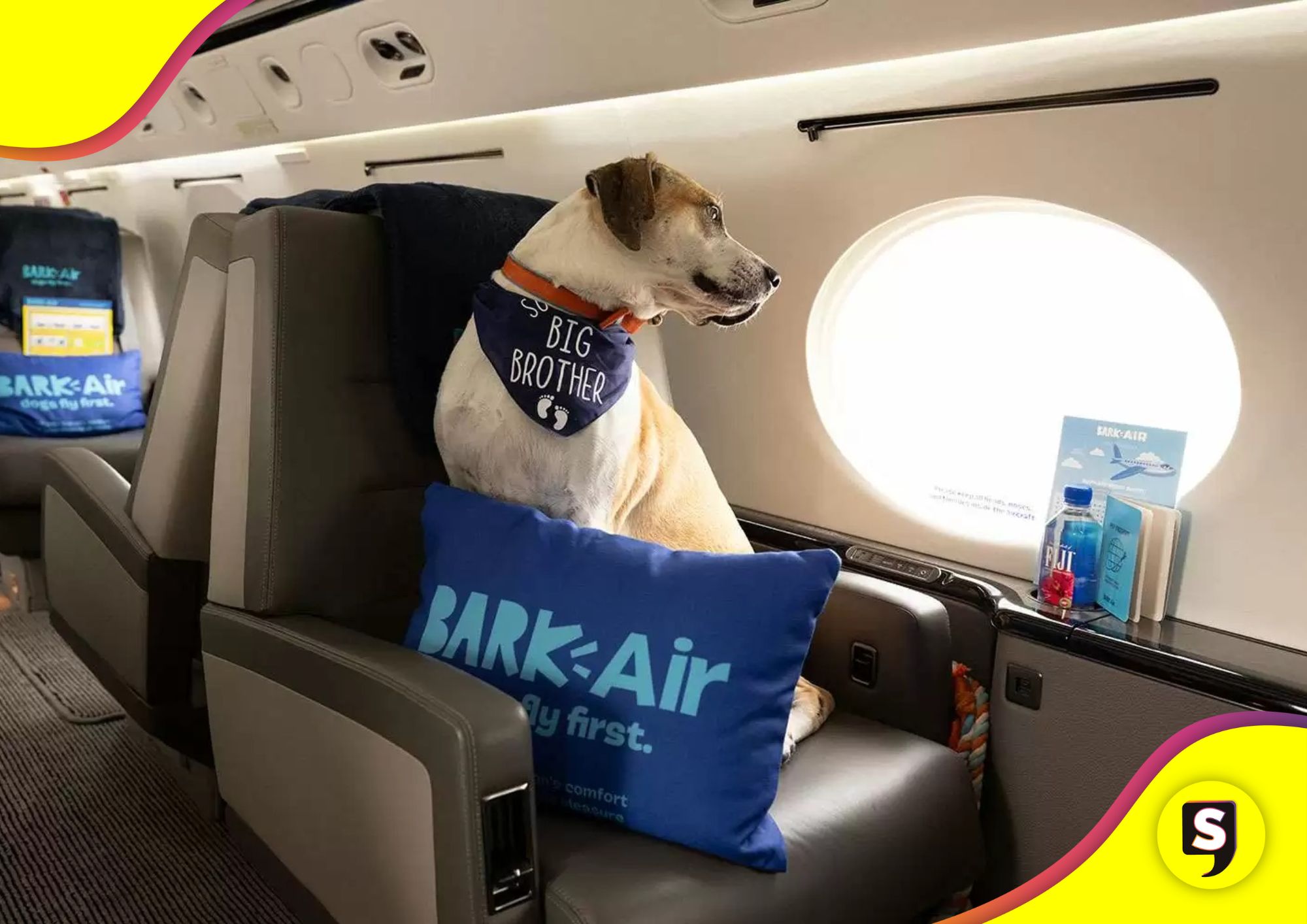 propia aerolínea