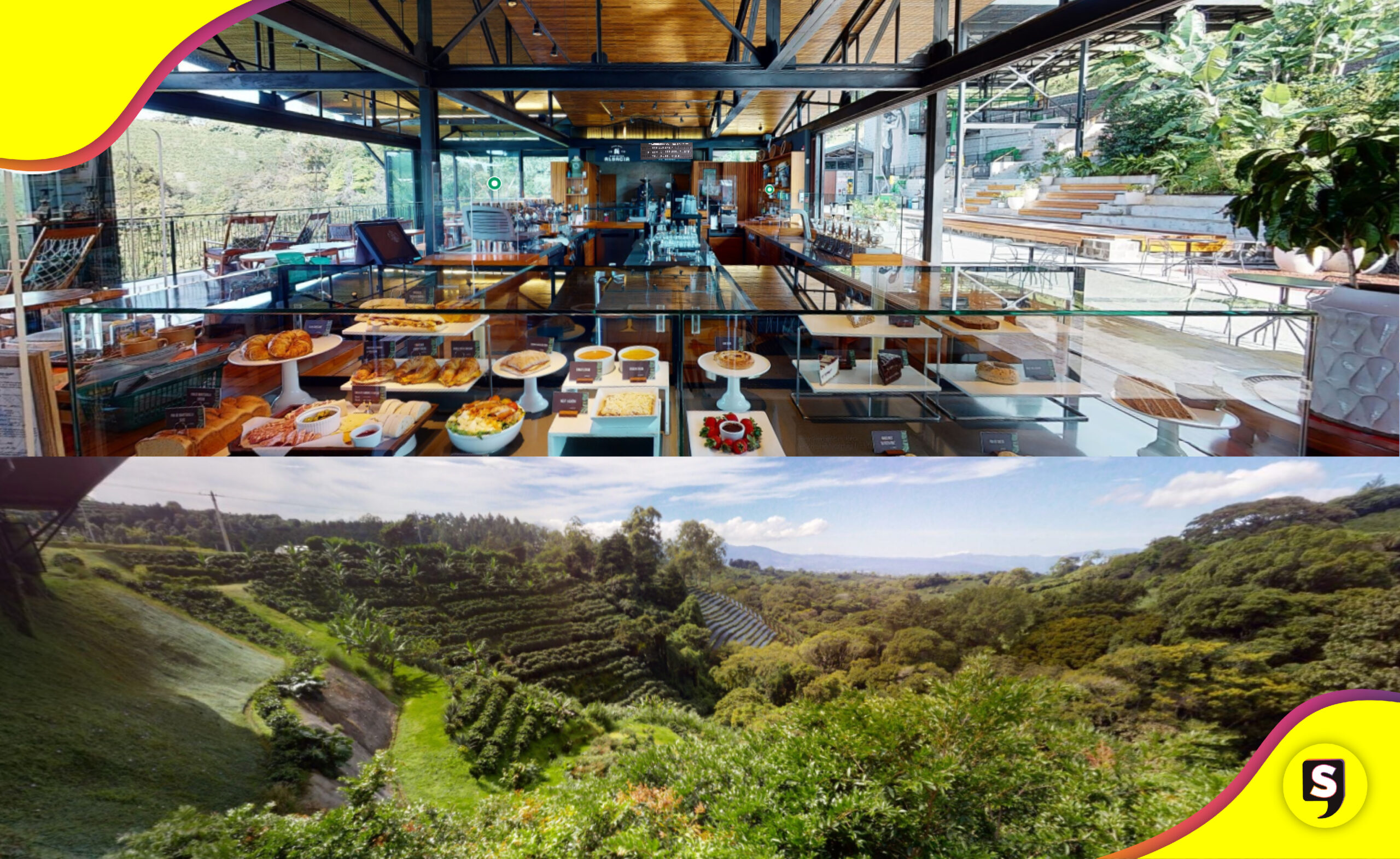Starbucks recorrido virtual finca