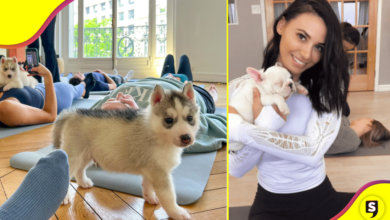 ¡Ay, no! Esta fue la razón por la que Italia prohibió el yoga con cachorros.
