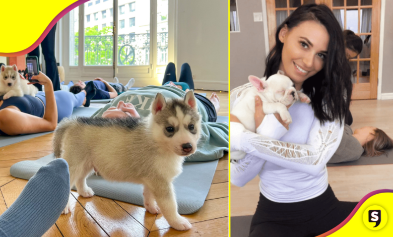 ¡Ay, no! Esta fue la razón por la que Italia prohibió el yoga con cachorros.