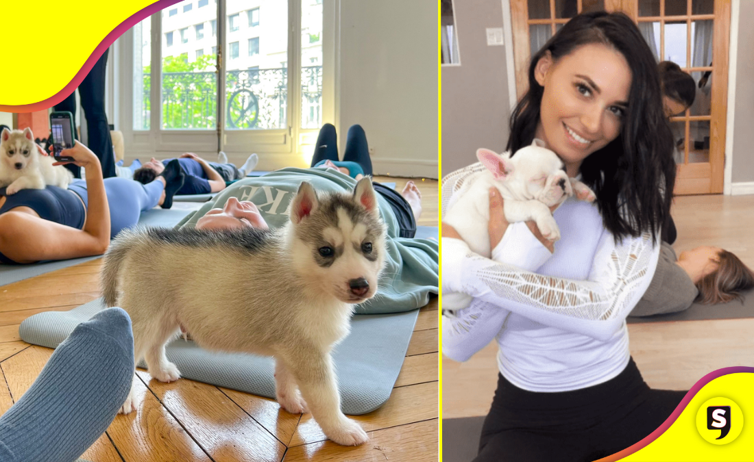 ¡Ay, no! Esta fue la razón por la que Italia prohibió el yoga con cachorros.