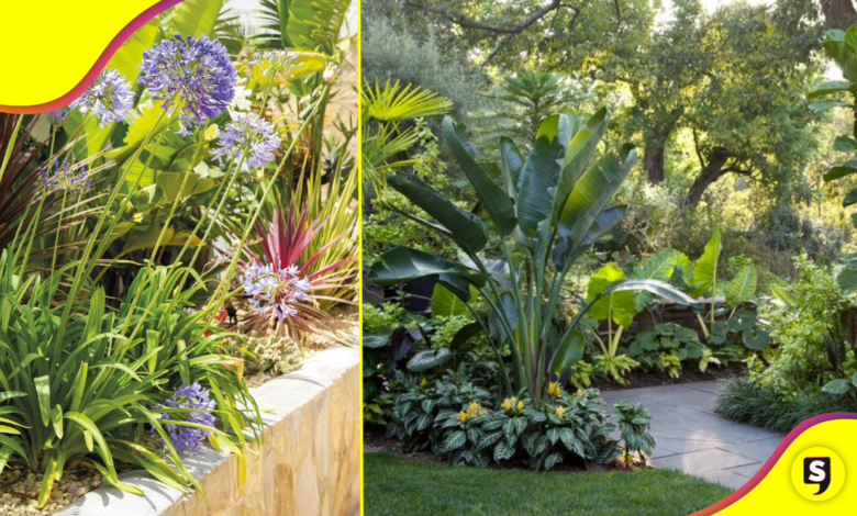 Hogar verde: plantas que puedes tener en casa sin batallar tanto.
