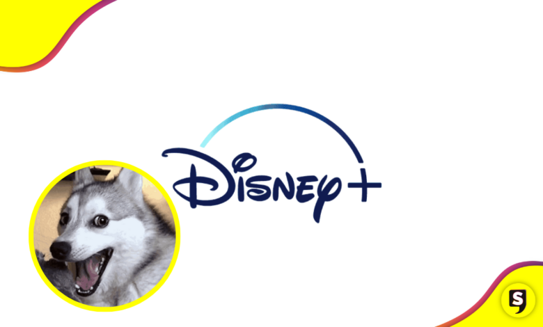 ¿Cine en casa? Amarás esta nueva función de Disney + .