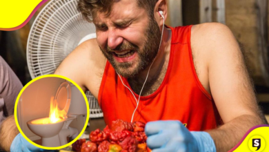 ¿Adoras el picante? Estos son los chiles más picantes del mundo.