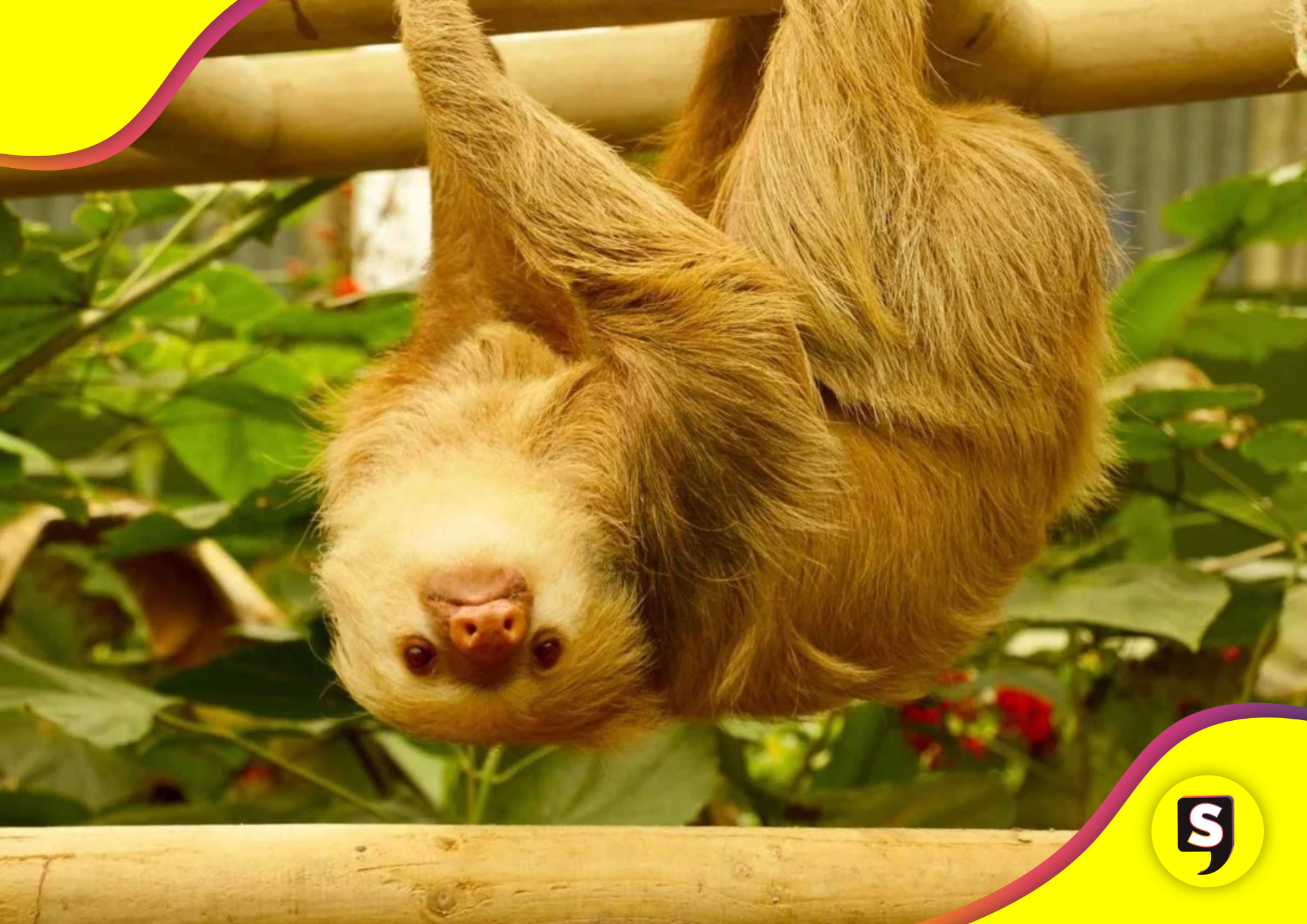 zoológicos estatales