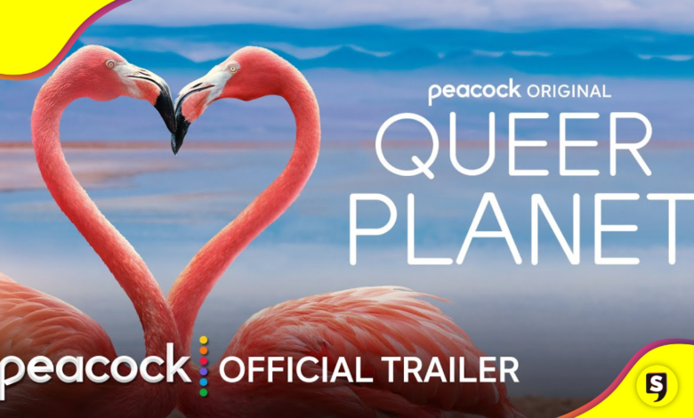 Queer Planet