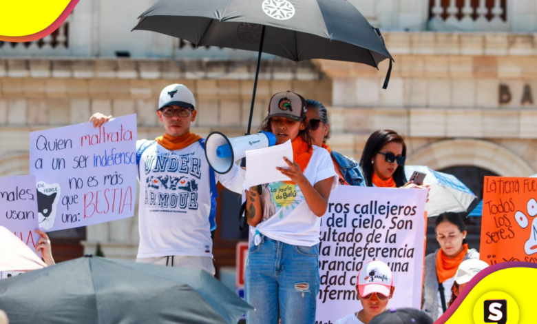 defensores de los animales