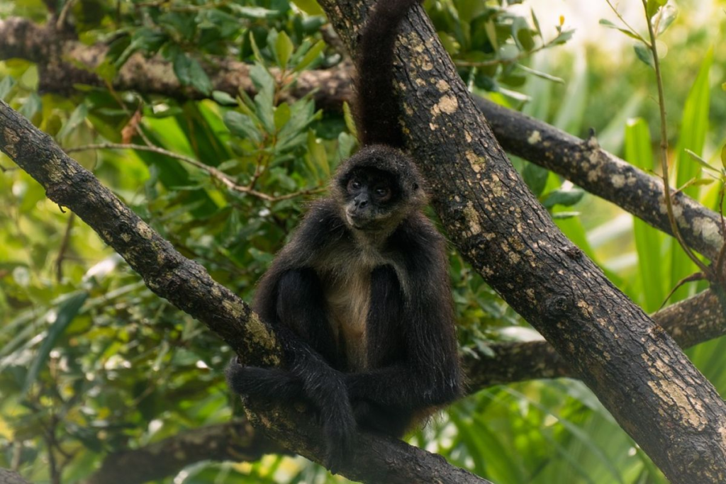 zoológicos estatales