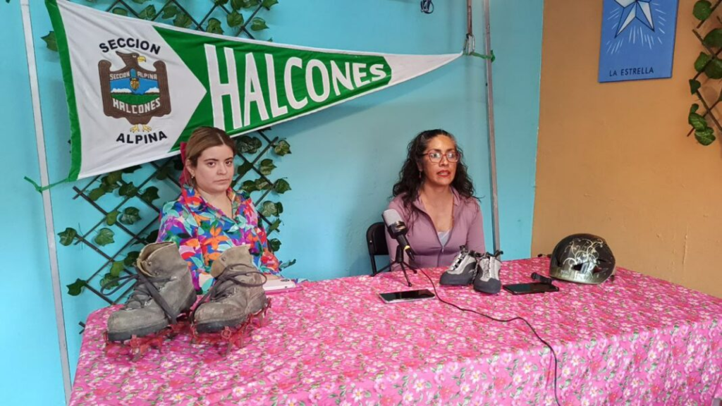 Halcones