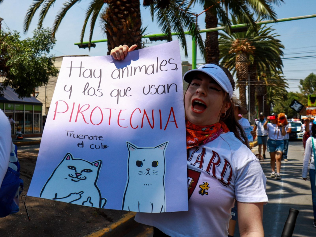 defensores de los animales