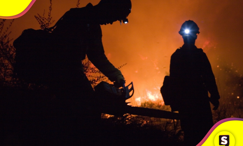 voluntarios