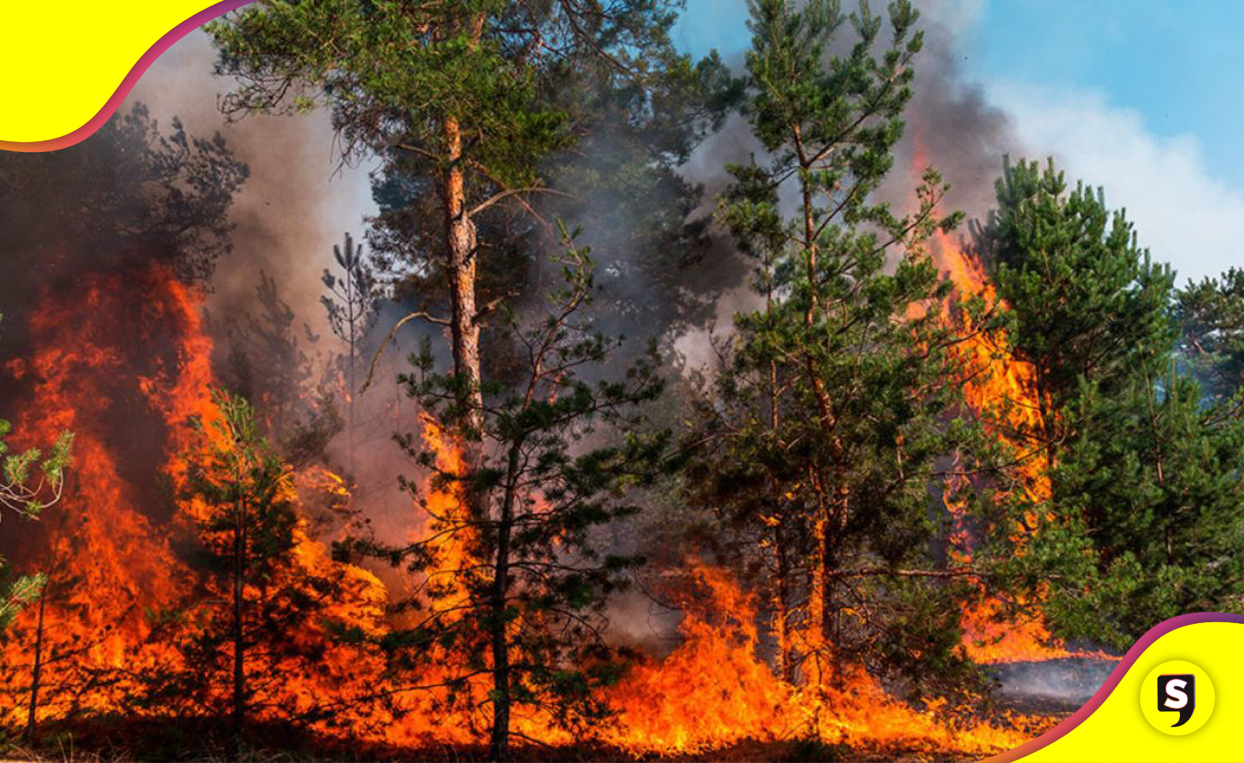 174 incendios activos en México