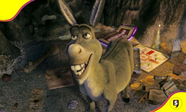 Burro
