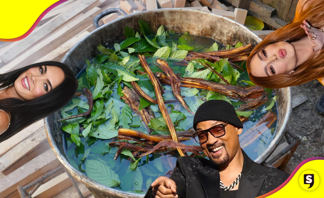 Ayahuasca: la planta que las celebs utilizan para encontrar paz interior.