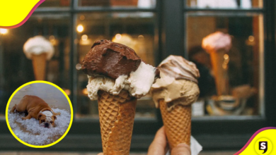 ¿El helado quita el calor? Esto dice un experto.