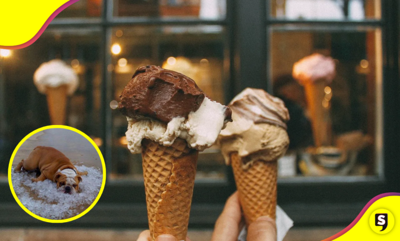 ¿El helado quita el calor? Esto dice un experto.