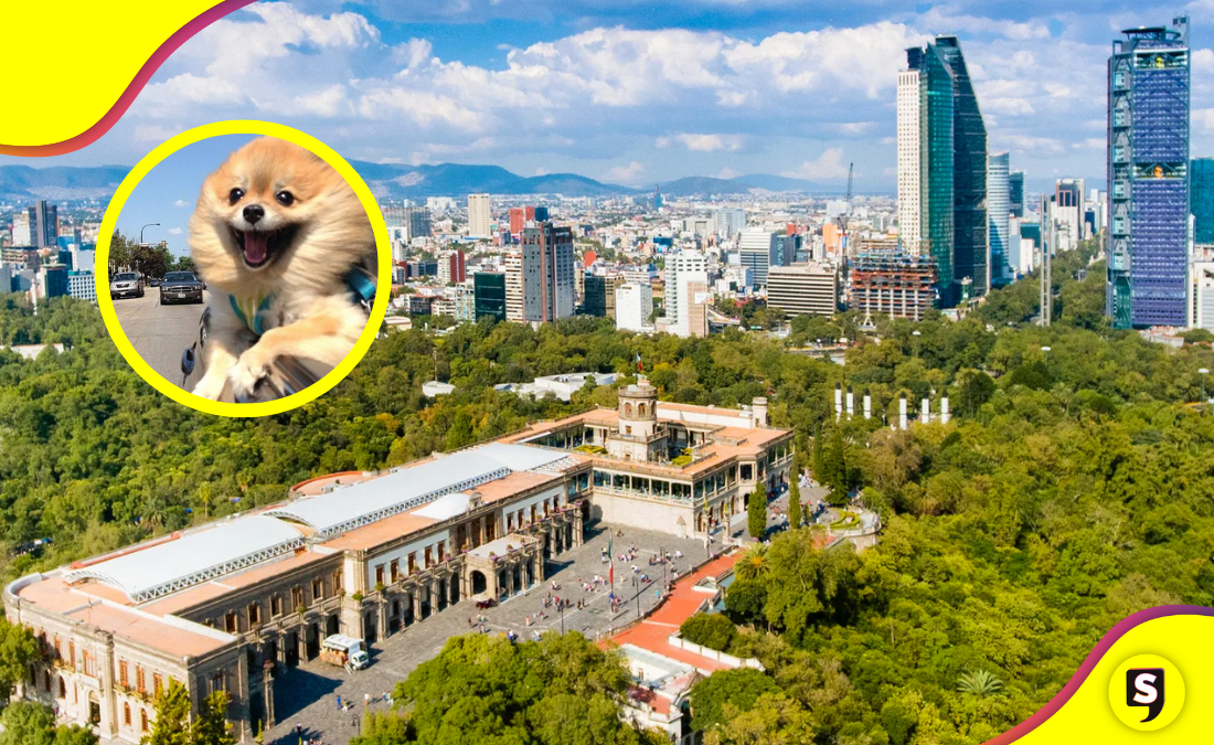 Bosque de Chapultepec: los nuevos atractivos que debes conocer.