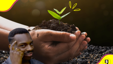 ¿Amas tu planeta? Checa esta lista de productos ecofriendly.