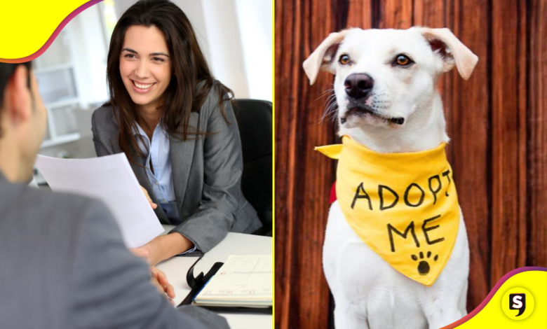 de adopción