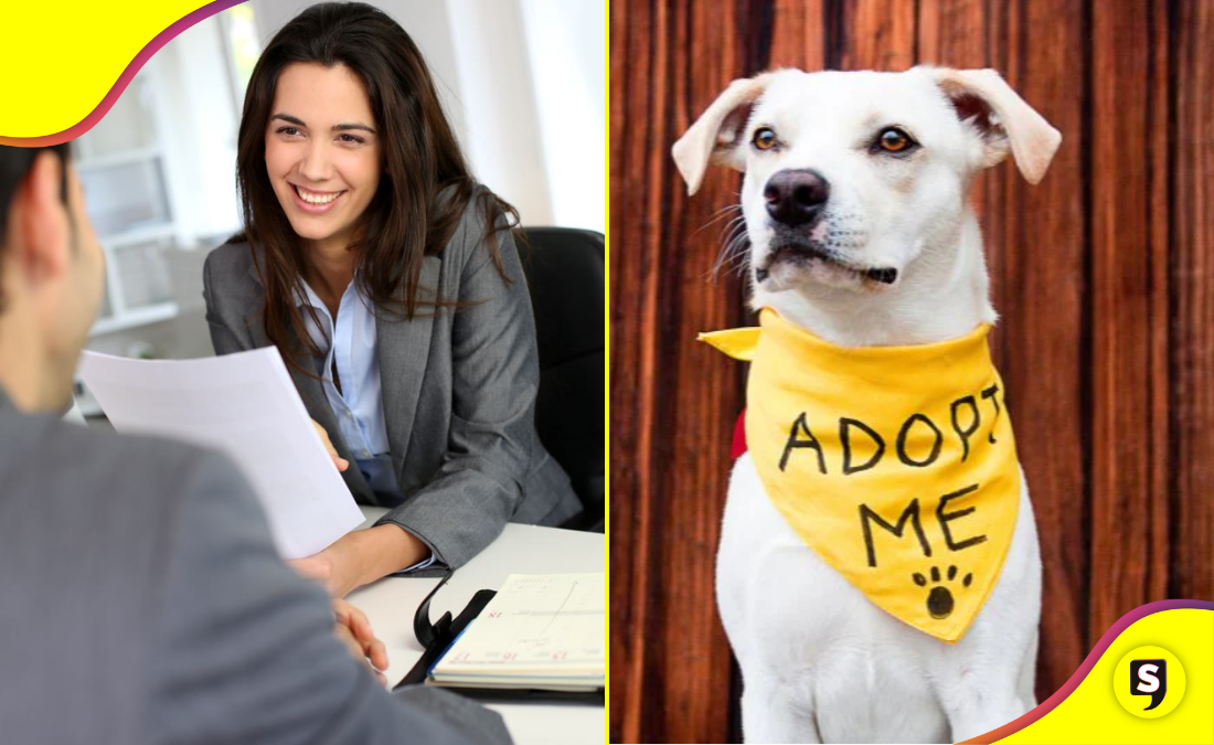 de adopción