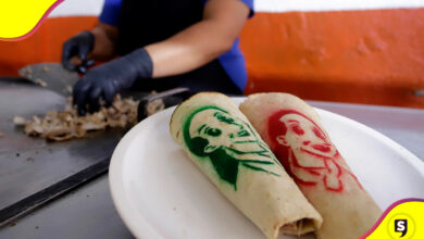 Taco Sheinbaum