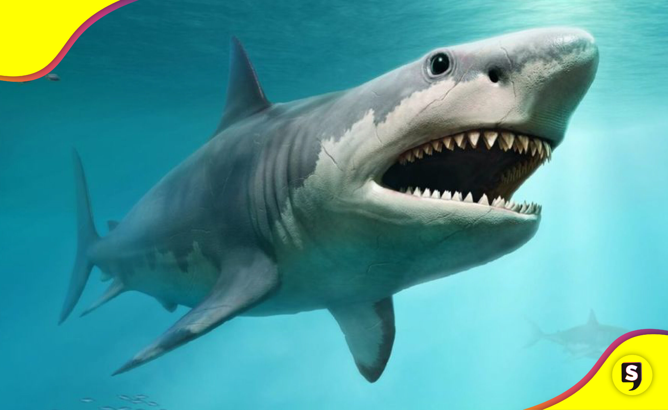 Tiburones barcos pesqueros