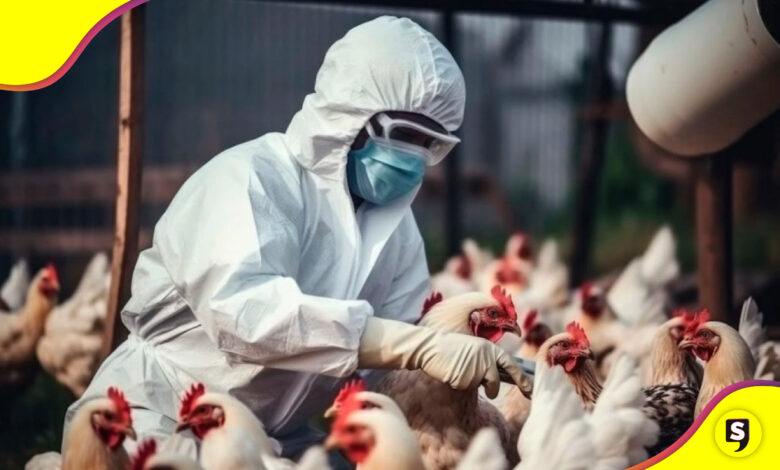 muerte gripe aviar México