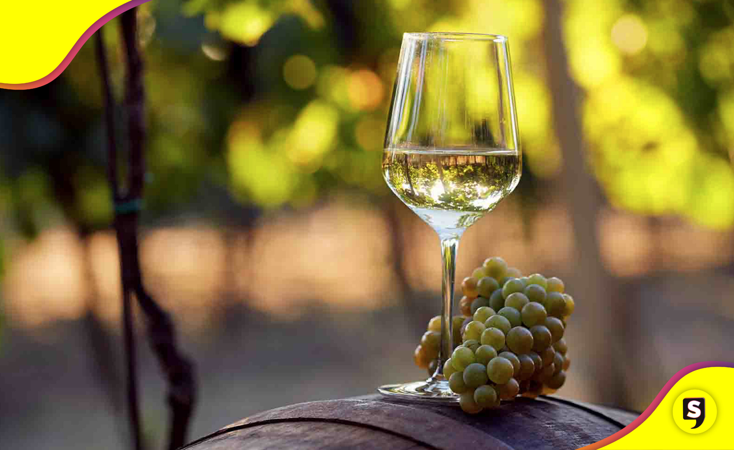 7 vinos verano Walmart