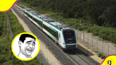 ¡Achis! Razón por la que estas mujeres se disculparon con el Tren Maya.