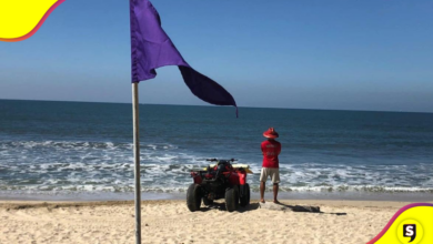 banderas en la playa