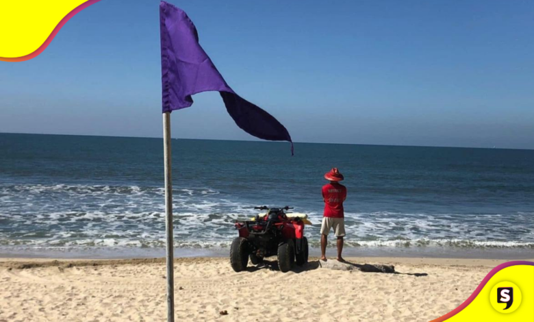 banderas en la playa
