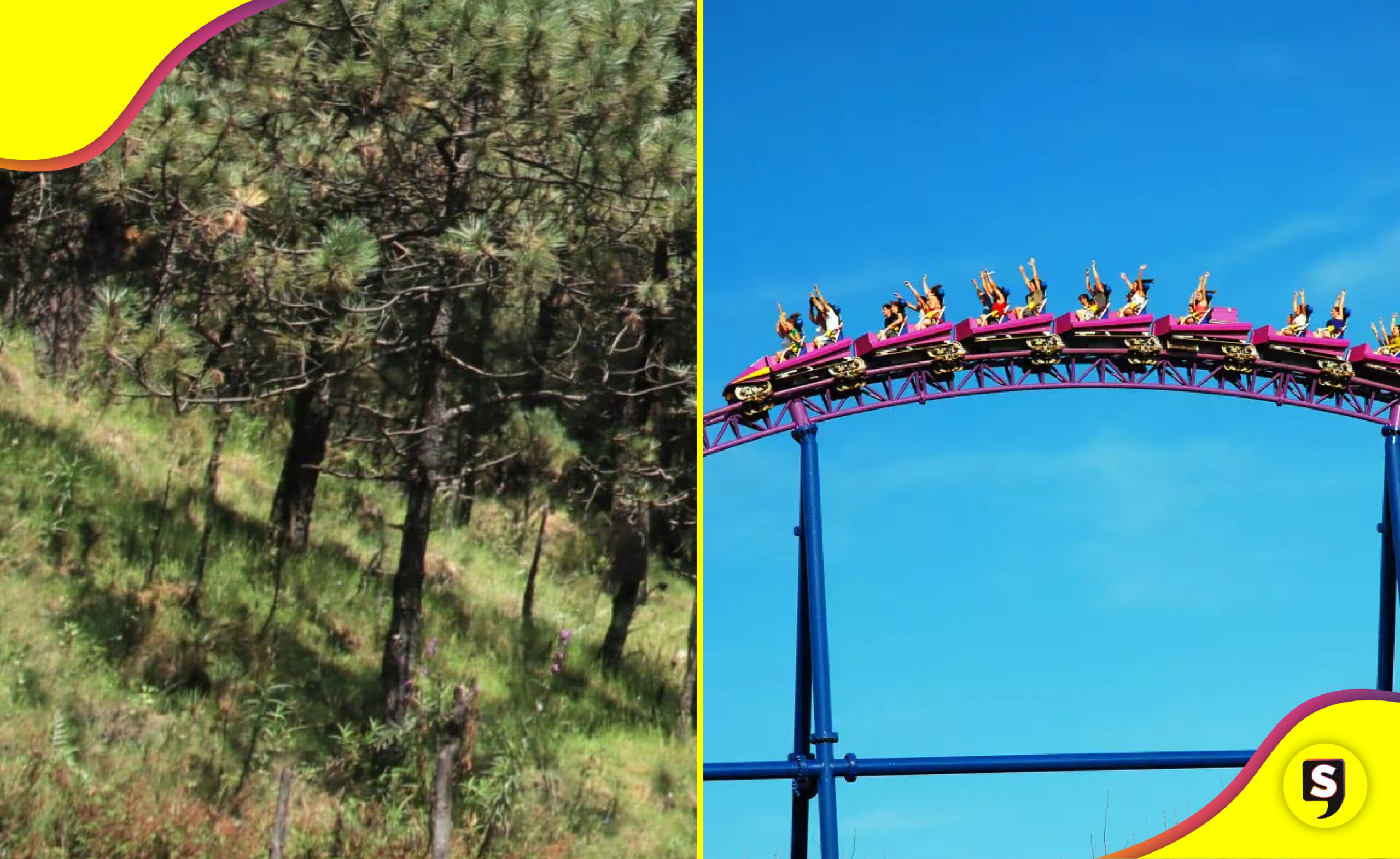 Six Flags talar árboles