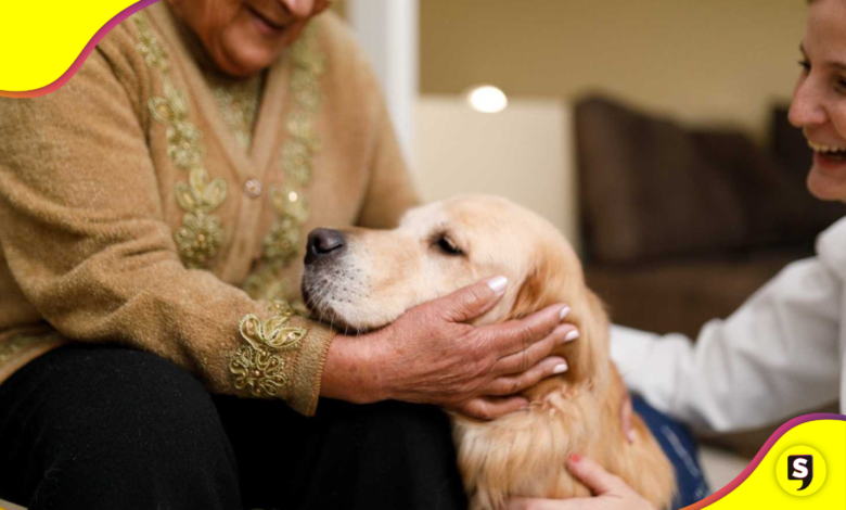 Terapia Asistida por Animales