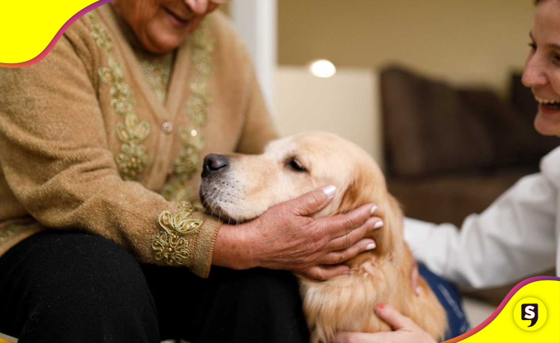 Terapia Asistida por Animales