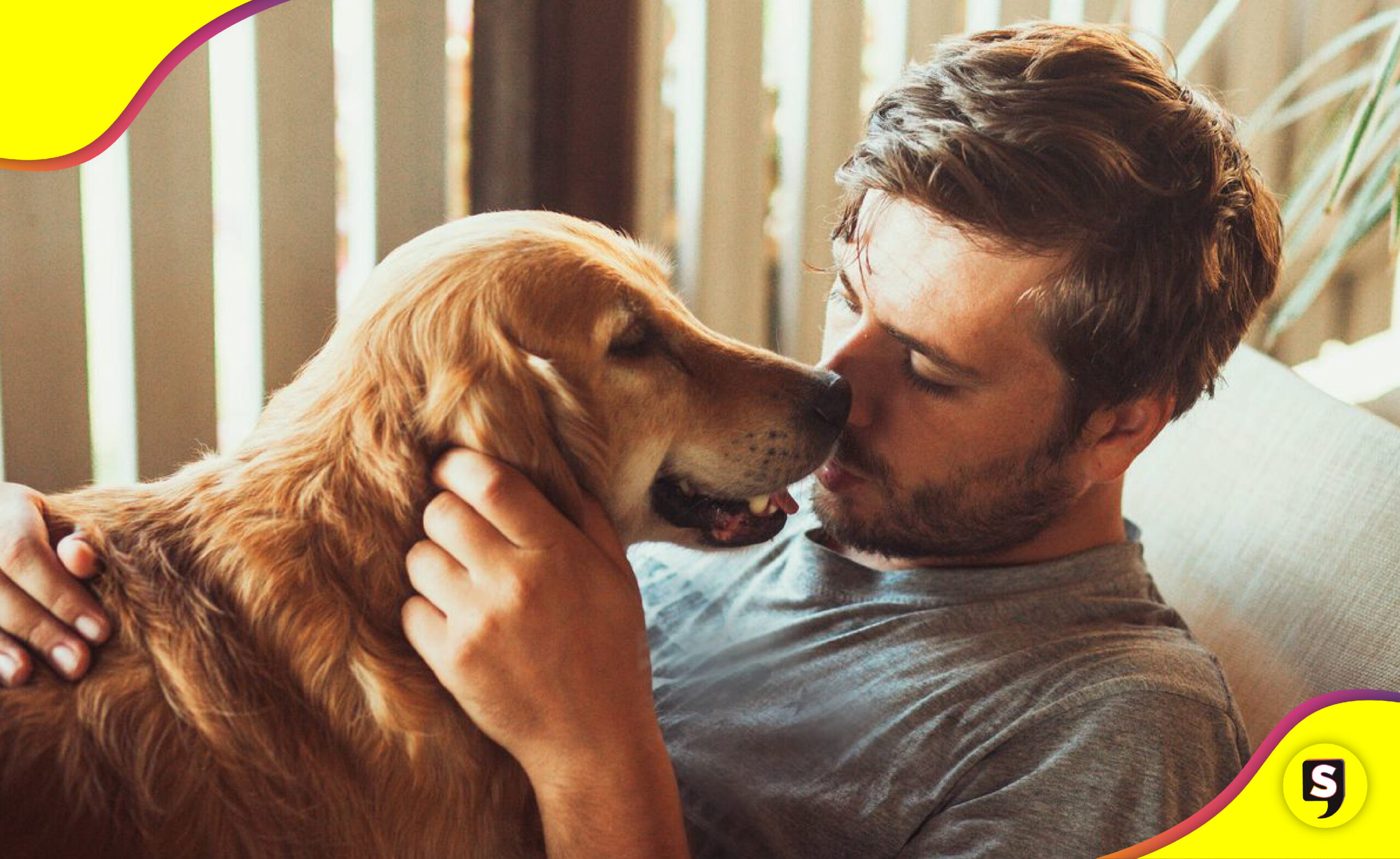 cuesta mantener un perro