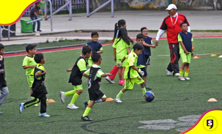 curso de verano