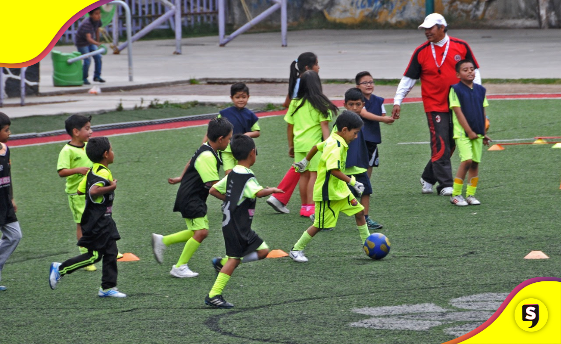 curso de verano