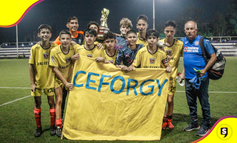 seleccionados