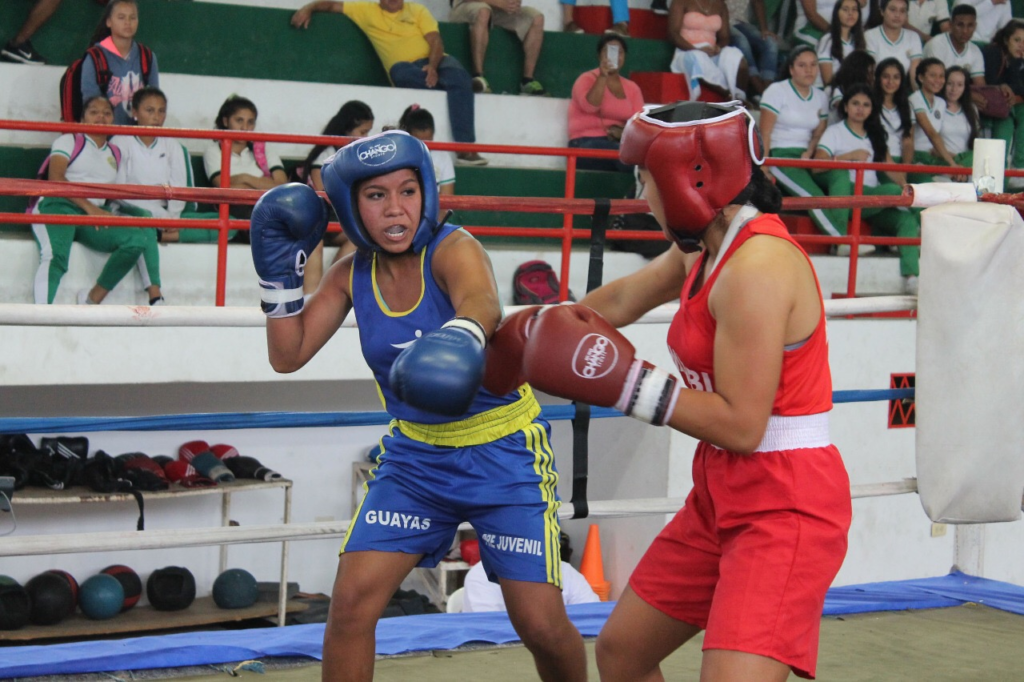 de boxeo