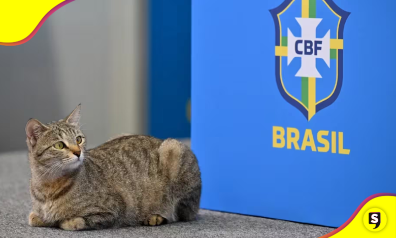 selección brasileña