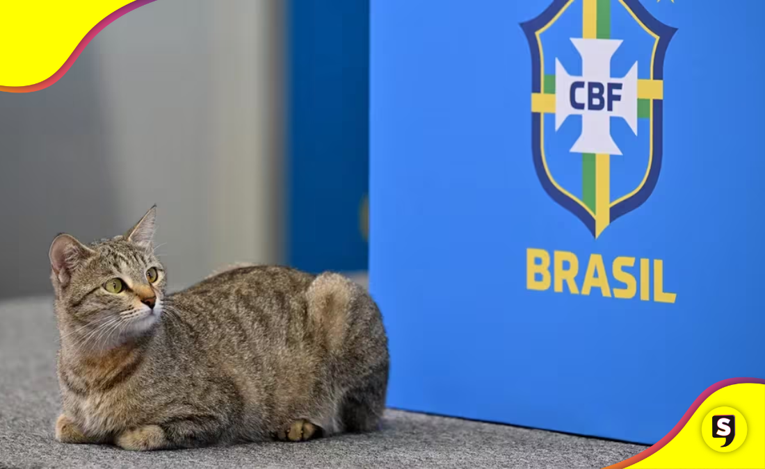 selección brasileña